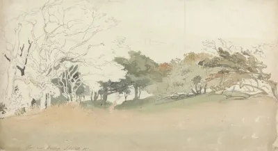 Trees Near Hastings