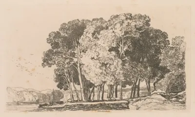 Trees Near Twickenham