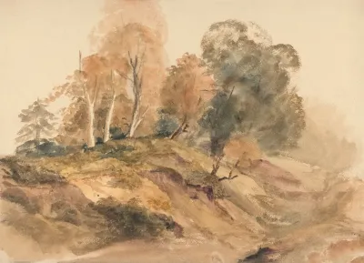 Trees On A Bank