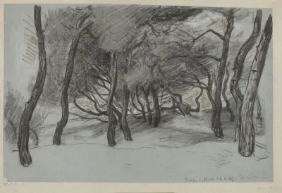Trees On A Beach In Gombo Near Pisa