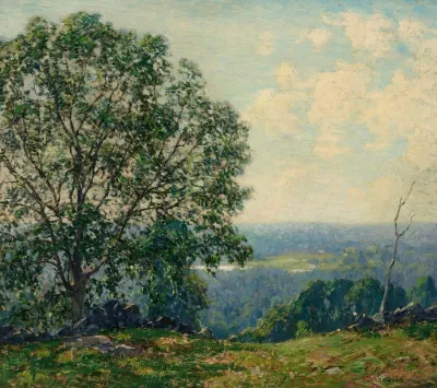 Trees On A Hillside Overlooking A Valley