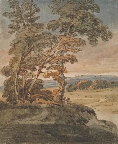 Trees On A Hillside Path