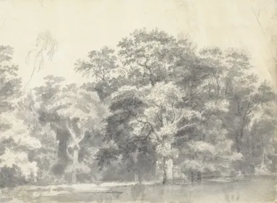 Trees On A River Bank