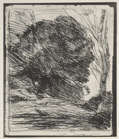 Trees On The Mountain 2