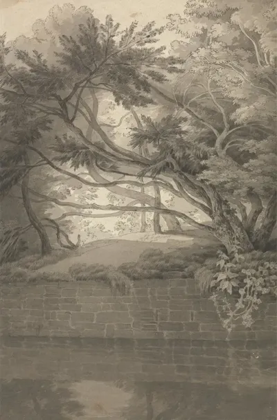 Trees Overhanging A Lake