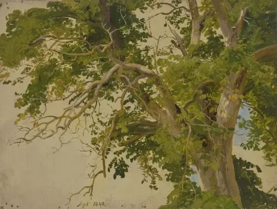 Treetop 2