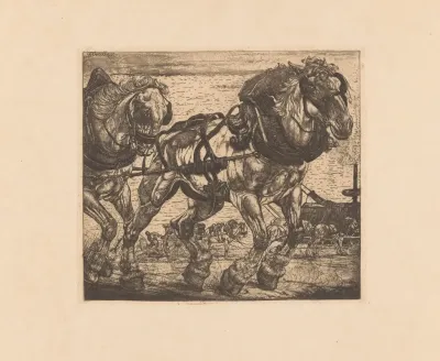 Trekpaarden Bij De Seine In Parijs