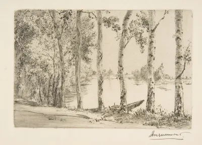 Trembles Au Bord De La Seine