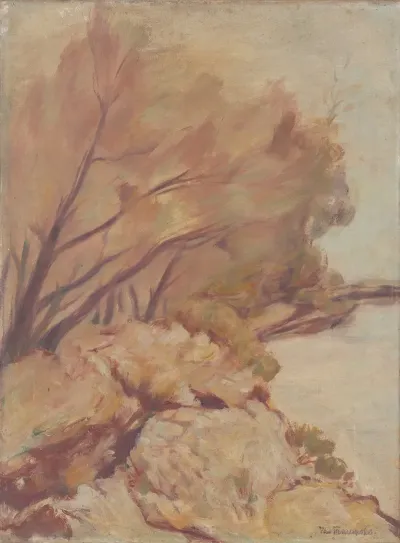 Trenches By Danube
