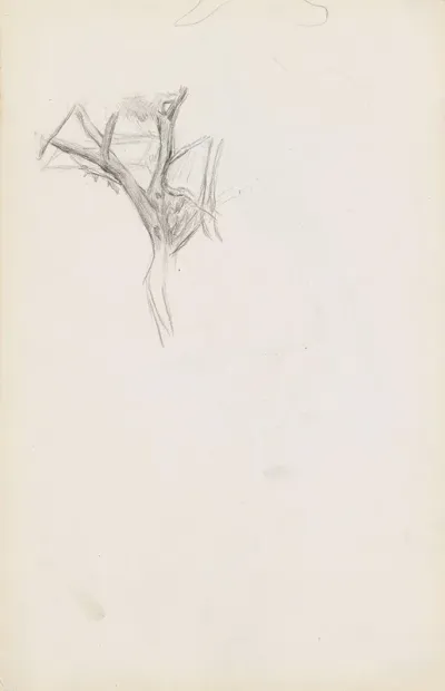 Trestudie 2