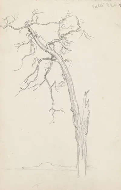 Trestudie Valloy