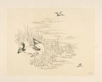 Trois Canards Et Un Quatrieme Qui Vole