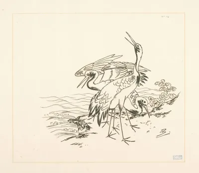Trois Grues Au Bord De La Mer