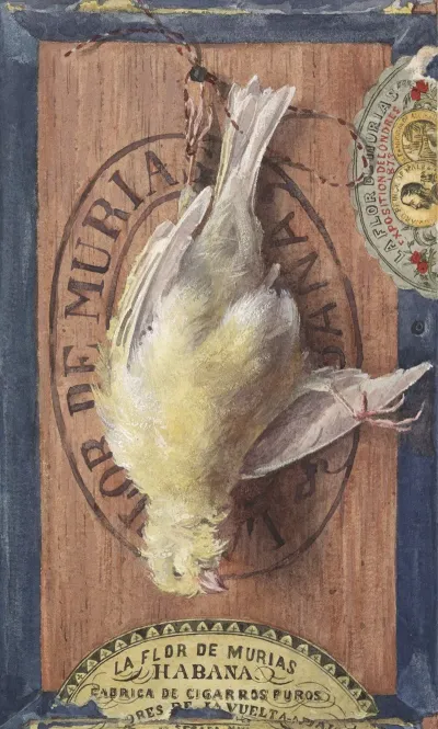 Trompe Loeil Yellow Canary
