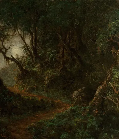 Tropical Greenery Tropical Landscape