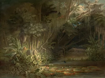Tropical Rainforest In The Amazon