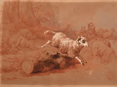 Troupeau De Moutons Fuyant Un Loup