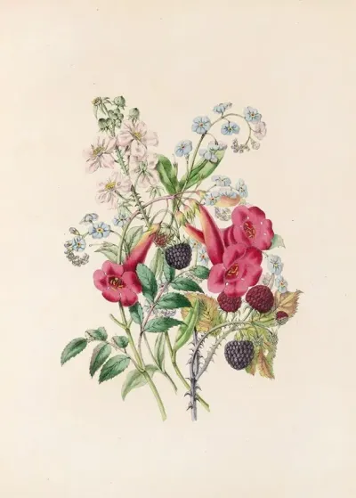Trumpet Flower Forget Me Not And Raspberry