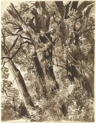 Trunks And Branches