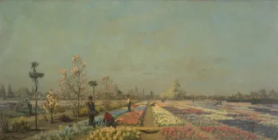 Tulip Fields