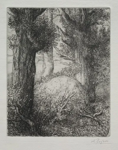Tumulus Gaulois