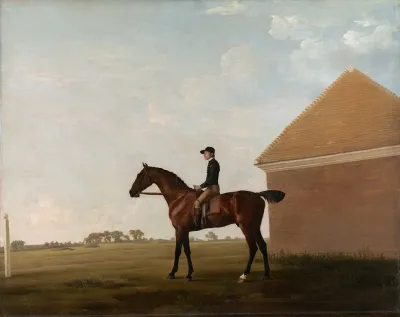 Turf With Jockey Up At Newmarket