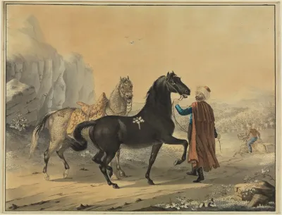 Turke Mit Rappe Und Schimmel