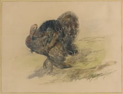 Turkey 3