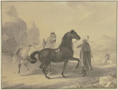 Turkish Horses