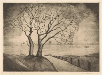 Twee Bomen Aan De Kust