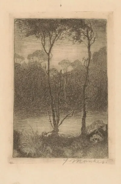 Twee Bomen Aan Het Water Beekje Bij Avond