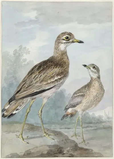 Twee Grielen