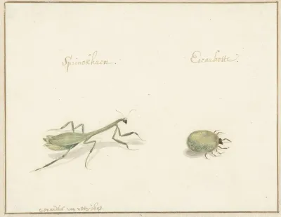 Twee Insecten