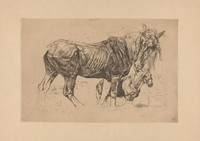 Twee Paarden 3
