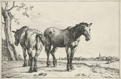 Twee Ploegpaarden Paarden