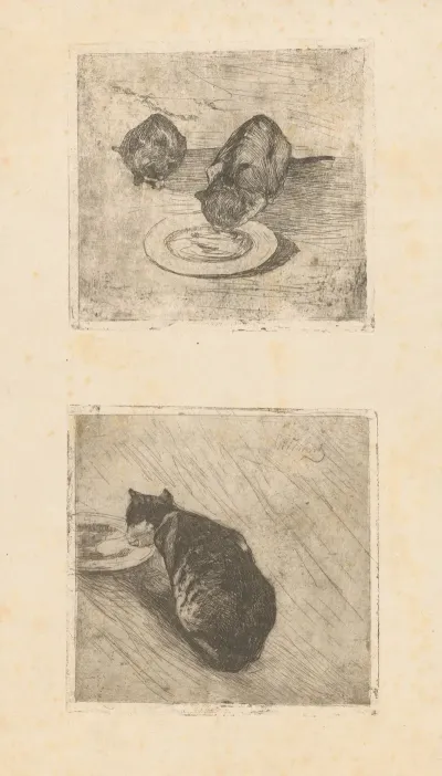Twee Poesjes Melkdrinkende Poes