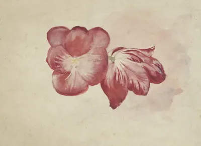 Twee Rode Tulpen