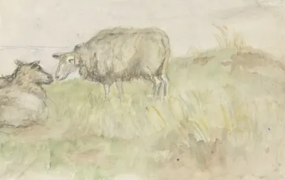 Twee Schapen