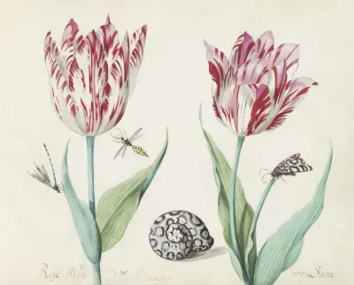 Twee Tulpen Met Slak Nachtvlinder En Twee Insecten