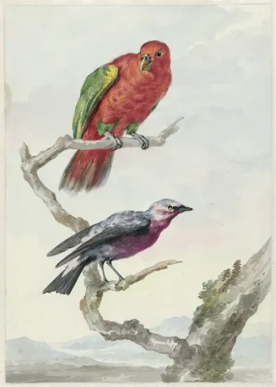 Twee Vogels Waaronder Een Rood Groene Papegaai