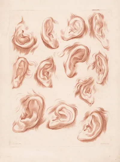 Twelve Different Ears
