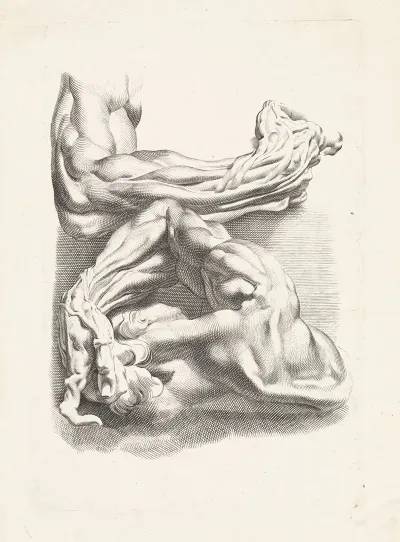 Two Anatomical Studies Of Arms