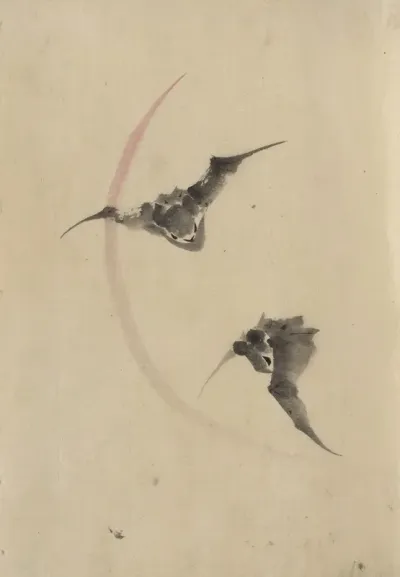 Two Bats Flying