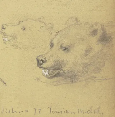 Two Bears 2
