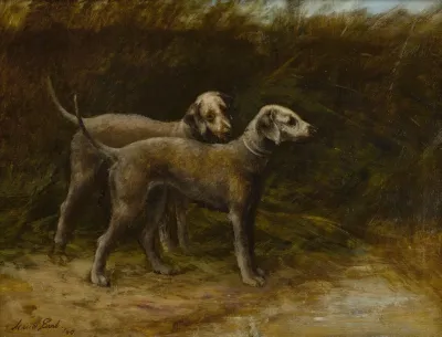 Two Bedlington Terriers Champion Breakwater Squire And Champion Breakwater Girl