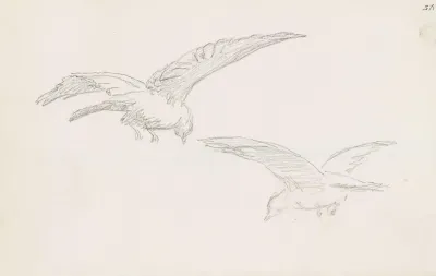 Two Birds 3