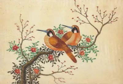 Two Birds On Flowering Tree Branch