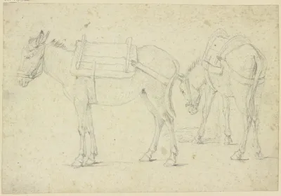Two Bridled Donkeys