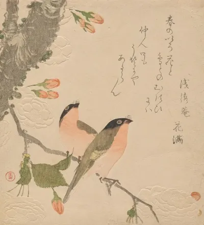 Two Bullfinches On A Double Petalled Cherry Tree Uso Ni Yae Zakura