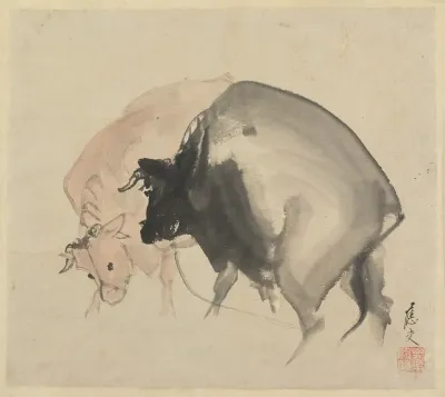 Two Bulls 2